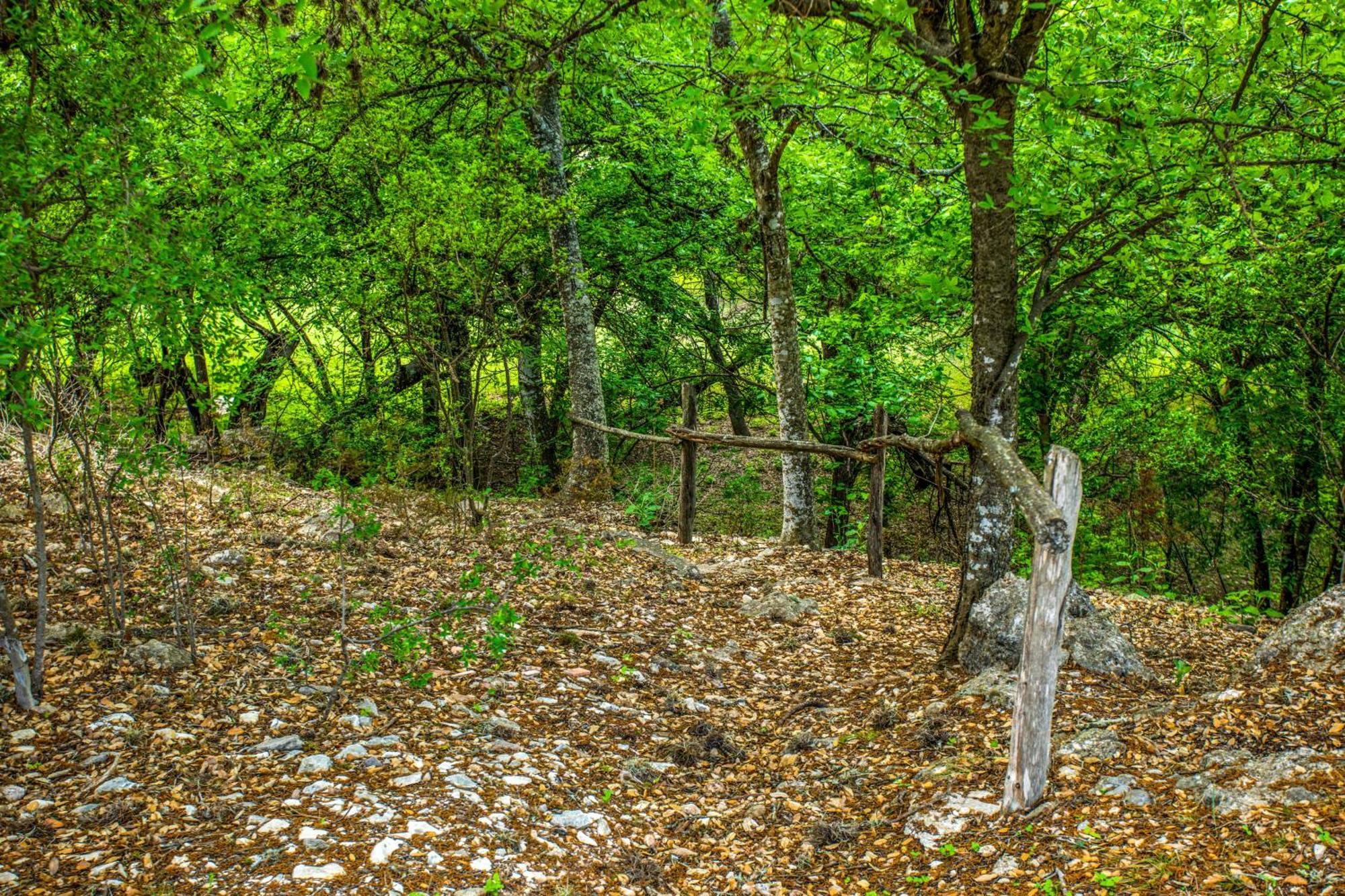 River Ridge Bandera Cabin Екстериор снимка